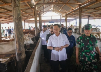 Pj Gubernur Aceh, Achmad Marzuki, ikut menanam bawang saat meninjau lahan pertanian di lokasi Korem Teuku Umar Meulaboh, Aceh Barat, Rabu (10/5/2023). (Foto: Alibi/Dok. Humas Pemerintah Aceh)
