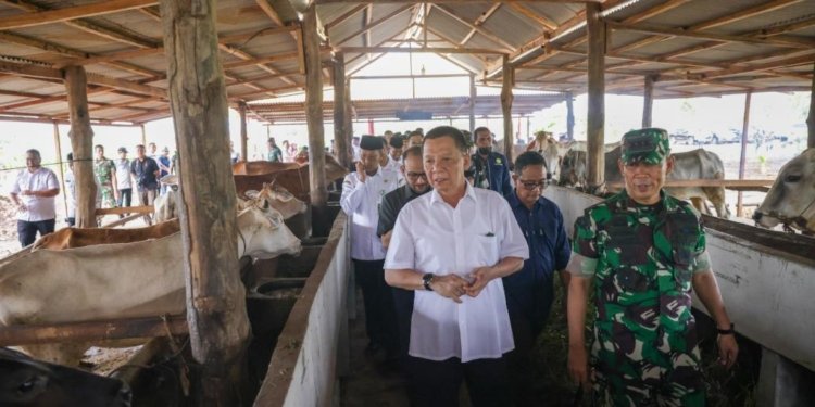 Pj Gubernur Aceh, Achmad Marzuki, ikut menanam bawang saat meninjau lahan pertanian di lokasi Korem Teuku Umar Meulaboh, Aceh Barat, Rabu (10/5/2023). (Foto: Alibi/Dok. Humas Pemerintah Aceh)