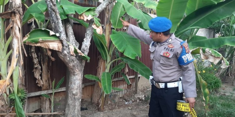 MH, pemuda di Kecamatan Syamtalira Aron, Aceh Utara ditemukan tergantung di pohon belimbing. (Foto: Alibi/Dok. Polres Aceh Utara)