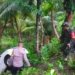 Mobil jenis Xenia masuk ke jurang Gunung Naibos, Simeulue, Aceh. (Foto: Alibi/Dok. Polres Simeulue)