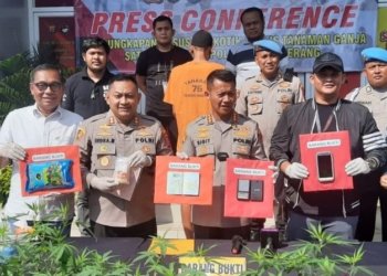 Kapolresta Tangerang Kombes Pol. Sigit Dany Setiyono saat menunjukkan barang bukti dan pelaku penanaman ganja di Tangerang. (Foto: Antara/Azmi Samsul Maarif)