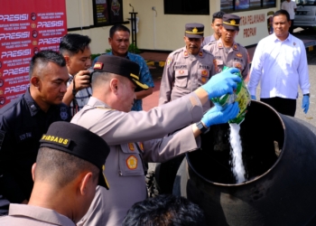 Proses pemusnahan barang bukti narkoba di Mapolres Aceh Utara, Kamis (25/5/2023). (Foto: Alibi/Dok. Polres Aceh Utara)