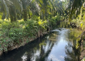 Krueng (sungai) Alem Gampong Krueng Seumayam, Kecamatan Darul Makmur, Kabupaten Nagan Raya tercemar, diduga akibat limbah dari PKS Raja Marga. (Foto untuk Alibi)