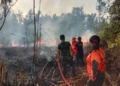 Upaya pemadaman lahan terbakar di Kabupaten Barito Selatan oleh petugas gabungan, Jumat (2/6/2023). (Foto: Alibi/Dok. Humas BNPB)
