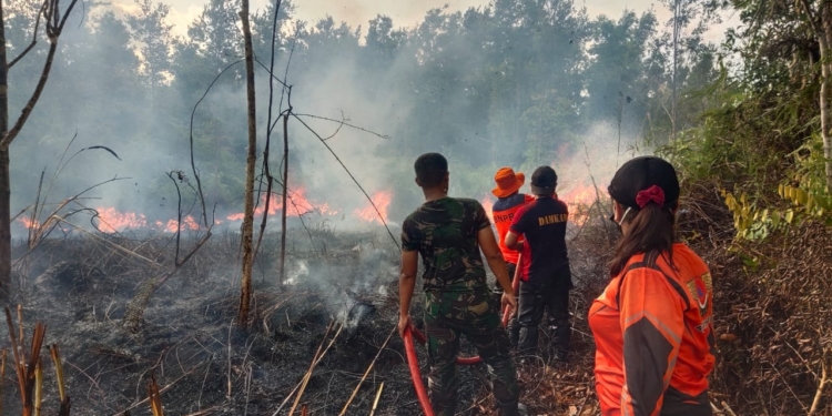 Upaya pemadaman lahan terbakar di Kabupaten Barito Selatan oleh petugas gabungan, Jumat (2/6/2023). (Foto: Alibi/Dok. Humas BNPB)