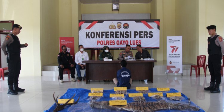 Polres Gayo Lues memperlihatkan kulit dan tulang harimau sumatra yang diperdagangkan ilegal. (Foto: Alibi/Dok. Polres Gayo Lues)