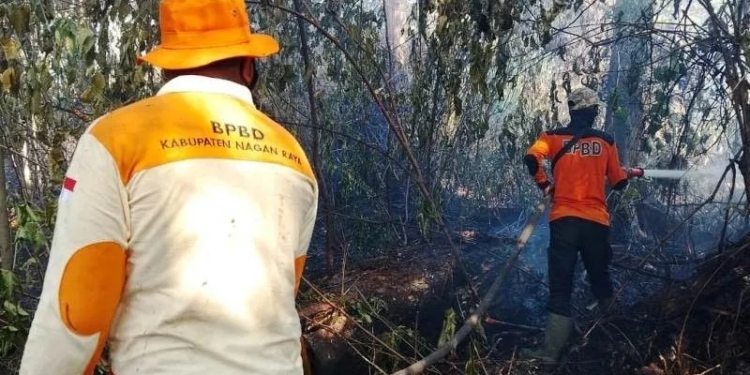 Petugas BPBD melakukan pemadaman api di lokasi kebakaran lahan di salah satu kawasan di Kabupaten Nagan Raya, Provinsi Aceh, Jumat (16/6/2023). (Foto: Dok. BPBD Nagan Raya)