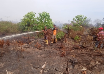 Petugas memadamkan kebakaran hutan dan lahan di Nagan Raya. (Foto: Alibi/Dok. BPBA)