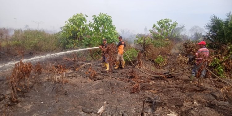 Petugas memadamkan kebakaran hutan dan lahan di Nagan Raya. (Foto: Alibi/Dok. BPBA)