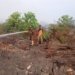 Petugas memadamkan kebakaran hutan dan lahan di Nagan Raya. (Foto: Alibi/Dok. BPBA)