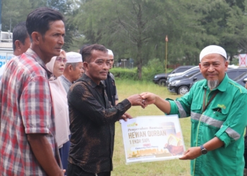 Proses penyaluran hewan kurban PT Mifa Bersaudara di Kecamatan Meureubo, Aceh Barat. (Foto untuk Alibi)