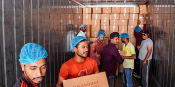 Proses pengiriman daging kambing Dam petugas dan jemaah haji dikirim ke Indonesia. (Foto: Alibi/Dok. Kemenag RI)
