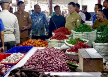 Pj Gubernur Aceh Achmad Marzuki dan jajaran saat meninjau Pasar Al Mahirah, di Gampong Lamdingin, Banda Aceh, Selasa (11/7/2023). (Foto: Alibi/Dok. Humas Pemerintah Aceh)