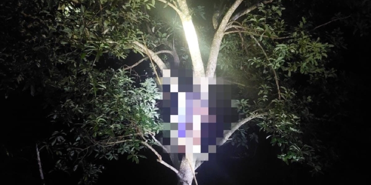 Irwansyah (51) warga Kampung Petukel Blang Jorong, Kecamatan Bandar, Kabupaten Bener Meriah ditemukan tewas di atas pohon alpukat. (Foto: Alibi/Dok. Polres Bener Meriah)