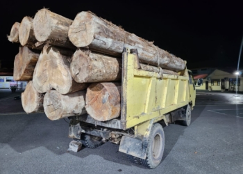 Dump truk digunakan pelaku untuk angkut kayu ilegal di Pidie Jaya. (Foto: Alibi/Dok. Polda Aceh)