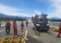 Pikap angkut kelapa terbalik di jalan Tol Sigli - Banda Aceh. (Foto: Dok. Hutama Karya)
