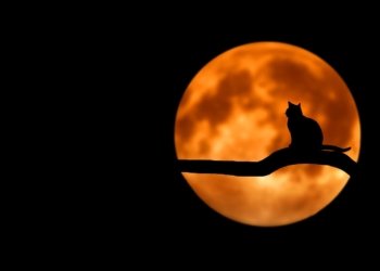 Ilustrasi super blue moon. (Foto: Alibi/Dok. Pixabay)