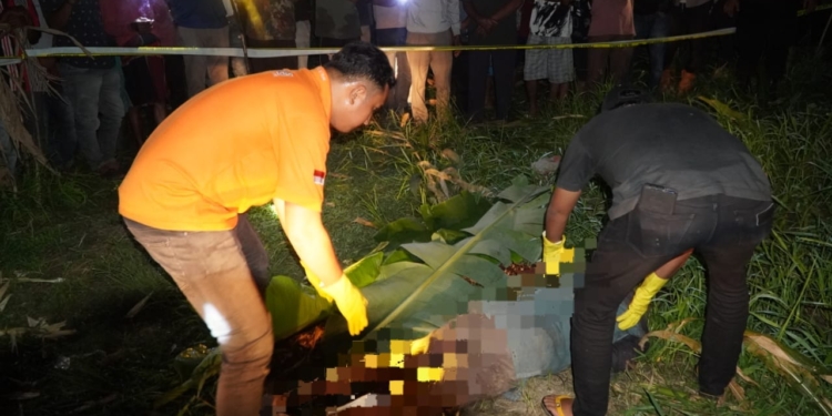 Polisi mengevakuasi mayat dari kebun jagung di Pantee Labu, Kecamatan Pantee Bidari, Kabupaten Aceh Timur. (Foto: Alibi/Dok. Polisi)