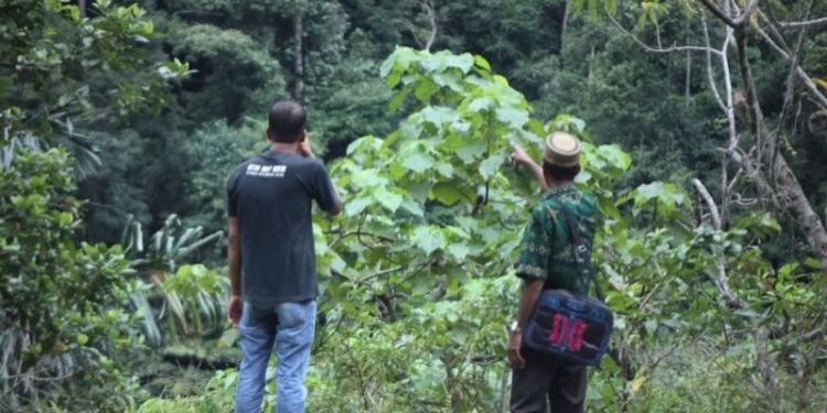 Kementerian Lingkungan Hidup dan Kehutanan (KLHK) RI resmi mengakui keberadaan delapan hutan adat mukim di tiga kabupaten di Aceh, yakni Kabupaten Pidie, Aceh Jaya, dan Bireuen.