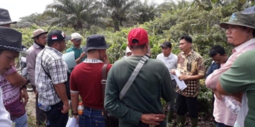 Pelaksanaan Pemeriksaan Setempat (PS) atau sidang  lapangan oleh PN Meulaboh di lokasi perkebunan kelapa sawit PT KA. (Foto: Alibi/Dok. KLHK)
