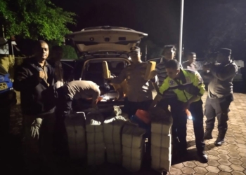 Polisi menemukan 150 kilogram ganja siap edar saat razia menjelang Pemilu 2023-2024 di kawasan Leupung, Kabupaten Aceh Besar. (Foto: Alibi/Dok. Polres Aceh Besar)