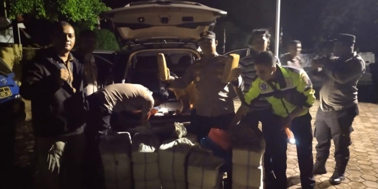 Polisi menemukan 150 kilogram ganja siap edar saat razia menjelang Pemilu 2023-2024 di kawasan Leupung, Kabupaten Aceh Besar. (Foto: Alibi/Dok. Polres Aceh Besar)