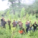 Polisi musnahkan 40 ribu tanaman ganja di perbukitan Gampong Sawang, Kecamatan Sawang, Aceh Utara, Jumat (6/10/2023). (Foto: Alibi/Dok. Polres Aceh Utara)
