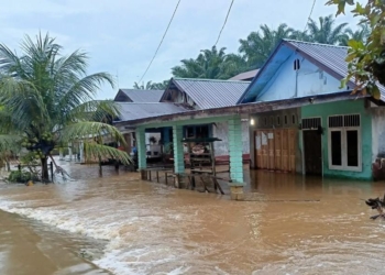 Rumah penduduk dalam dua kecamatan di Aceh Singkil terendam banjir. (Foto: Alibi/Dok. BPBA)