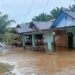 Rumah penduduk dalam dua kecamatan di Aceh Singkil terendam banjir. (Foto: Alibi/Dok. BPBA)