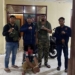 SB (28), warga Desa Bener, Kecamatan Kutapanjang, Gayo Lues, Aceh diringkus polisi atas kasus pencurian HP. (Foto: Alibi/Dok. Polres Gayo Lues)
