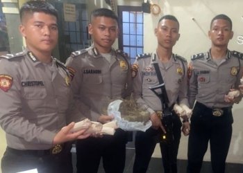 Tim Patroli Perintis Presisi Sat Samapta Polrestabes Medan menemukan 23 bungkus ganja tak bertuan di pinggiran Kanal Deli Tua. (Foto: Dok. Antara/Humas Polrestabes Medan)