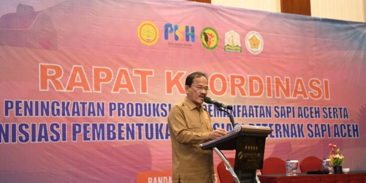 Asisten Perekonomian dan Pembangunan Sekda Aceh Mawardi, saat menyampaikan sambutan pada Rapat Koordinasi Peningkatan dan Pemanfaatan Sapi Aceh serta inisiasi pembentukan Asosiasi Peternak Sapi Aceh, di Banda Aceh, Selasa (24/10/2023). (Foto: Dok. Humas Aceh)