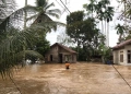 Kondisi Banjir di Desa Ranto Panyang Kecamatan Krueng Sabee Kabupaten Aceh Jaya, Selasa (21/11/2023) (Foto: Antara/Dok BPBD Aceh Jaya)