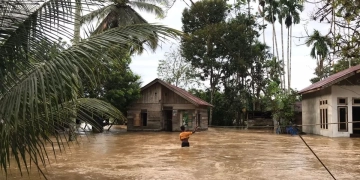 Kondisi Banjir di Desa Ranto Panyang Kecamatan Krueng Sabee Kabupaten Aceh Jaya, Selasa (21/11/2023) (Foto: Antara/Dok BPBD Aceh Jaya)