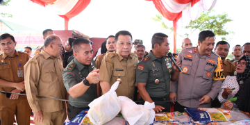 Penjabat Gubernur Aceh Achmad Marzuki bersama Pangdam IM, Kapolda Aceh dan unsur Forkopimda lainnya meninjau stand pasar murah pada acara Bakti Sosial Kesehatan dan Pangan Murah di Lapangan Blang Padang, Senin, (4/12/2023). (Foto: Dok. Adpim Pemprov Aceh)