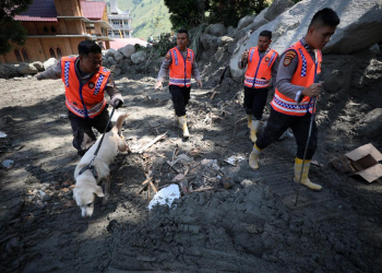 Anjing pelacak dikerahkan dalam operasi Search and Rescue (SAR) terhadap 10 warga yang masih dinyatakan hilang banjir bandang di Humbang Hasundutan (Humbahas), Sumatera Utara. (Foto: Dok. BNPB)