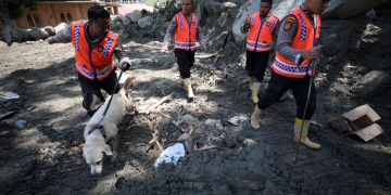 Anjing pelacak dikerahkan dalam operasi Search and Rescue (SAR) terhadap 10 warga yang masih dinyatakan hilang banjir bandang di Humbang Hasundutan (Humbahas), Sumatera Utara. (Foto: Dok. BNPB)
