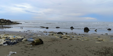 Kondisi abrasi laut di wilayah Kecamatan Meureudu dan Kecamatan Ulim, Kabupaten Pidie Jaya. (Foto: Dok. Pribadi)