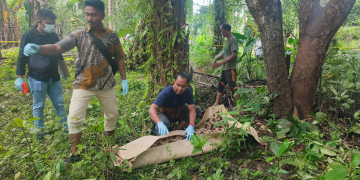 Remaja berusia 14 tahun berinisial MI ditemukan meninggal dunia tergantung di cabang pohon mangga di Aceh Utara, Jumat (29/12/2023). (Foto: Dok. Polisi)