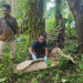 Remaja berusia 14 tahun berinisial MI ditemukan meninggal dunia tergantung di cabang pohon mangga di Aceh Utara, Jumat (29/12/2023). (Foto: Dok. Polisi)